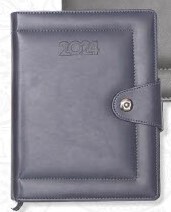 Executive diary (OFF270)