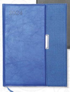 Executive diary (OFF272)