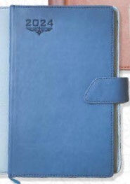 Executive diary (OFF274)