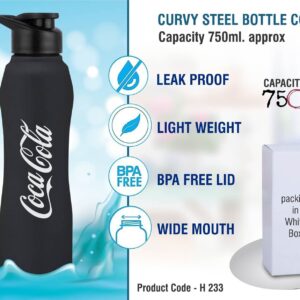 Steel Bottle (OFFH233)
