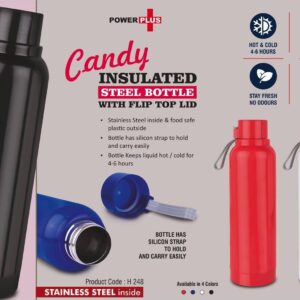 Steel Bottle (OFFH248)