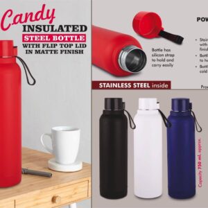 Steel Bottle (OFFH248a)