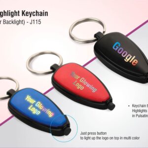 Logo highlight keychain  (OFFJ115)