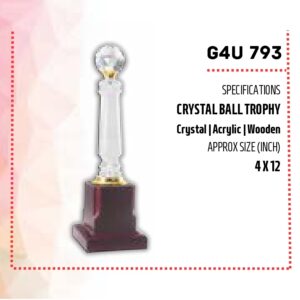 Acrylic Trophy (OFFG4U-793)