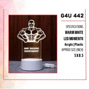 Acrylic Trophy (OFFG4U-442)
