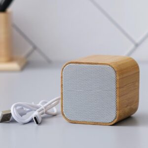 Bamboo Speaker (OFFGE37)