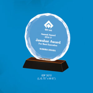 Trophy (OFFIDF-3610)