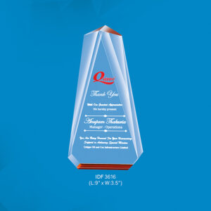 Trophy (OFFIDF-3616)