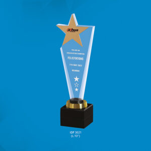 Trophy (OFFIDF-3621)